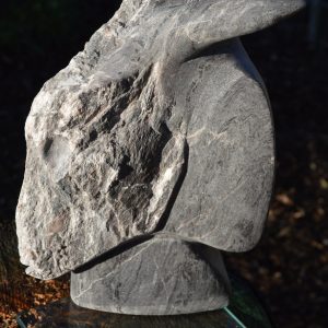 Wild Goat