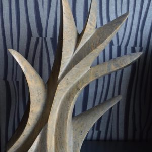Leaves of a Plant