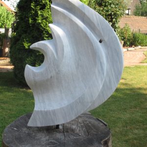 Fractional Spiral
