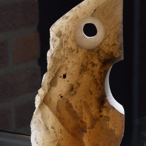 Translucent Face